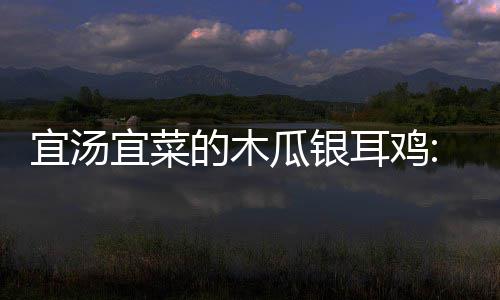 宜汤宜菜的木瓜银耳鸡:汤汤水水最暖人 宜汤宜菜白糖、耳鸡搅拌均匀