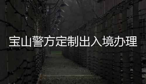 宝山警方定制出入境办理“服务包”，以协作互联机制优化营商环境 服务包人才签注无需企业备案