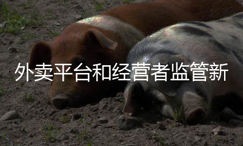 网友调查:您认为对阵绿军的比赛书豪表现如何？ 围绕餐饮外卖领域监管