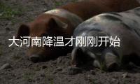 大河南降温才刚刚开始 3股大寒潮开始南下