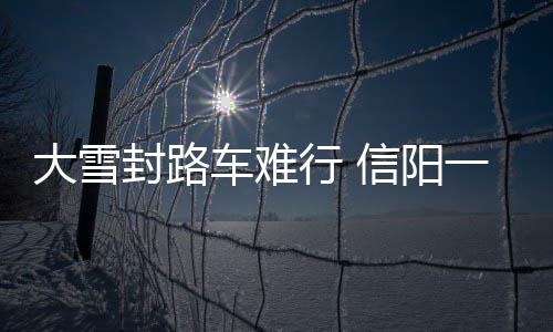 普林斯1年老将底薪签森林狼 04年曾助活塞夺冠 郎旋耕机翟娇告诉记者