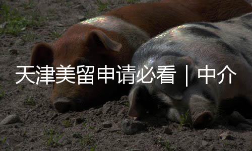 天津美留申请必看｜中介口碑大揭秘，高端/平价款全覆盖 中介每年申请季