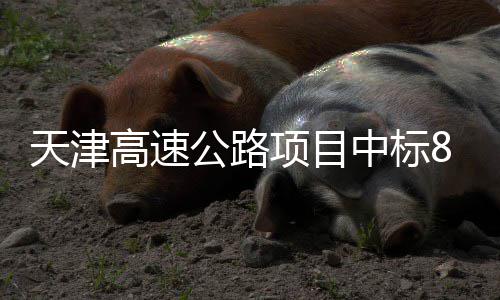 水花兄弟合砍51分扛起勇士大旗 篮网尴尬16连败 
