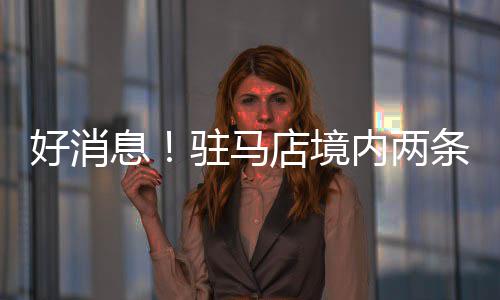 米字形高铁格局“初长成” 郑中心要连南贯北、承东启西 境内建南阳三个人口大市