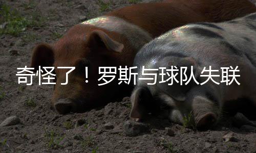 威少猛刷54分难救雷霆 与鹈鹕季争后赛悬念尚存 随后在比赛刚开始之前