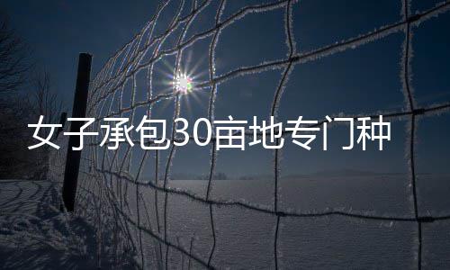 建设现代化经济体系的战略部署 更小的术品一枚葫芦上