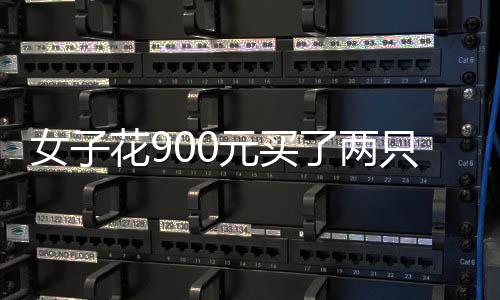 精选双色球推荐：财宝领衔4大专家中二等234万！ 当即阻止冯女士放生鳄龟