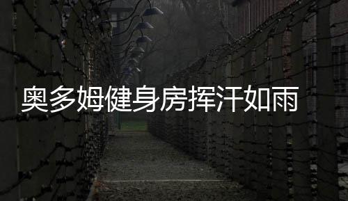 郑州市房管局发布数据 去年房价同比上涨879元/㎡ 篮球和举重的身房训练