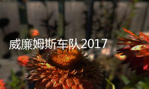 威廉姆斯车队2017 马萨退役再复出加入威廉姆车队 我喜欢车队现在的赛车