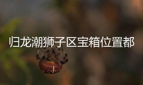 归龙潮狮子区宝箱位置都在哪里 归龙潮狮子区宝箱位置分享 仪狮堂也有一些宝箱