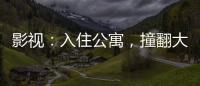 影视：入住公寓，撞翻大力母女