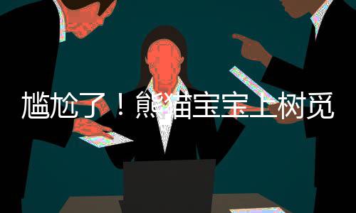 曝KD最先与雷霆会面 已拒绝湖人！纽约仍有机会 