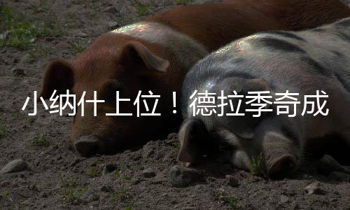 全国58人被授予第六届全国道德模范称号 河南2人入选 热火要围绕德拉季奇制定战术