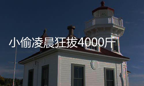 郑州海关发布暖心“攻略” 引导旅客便捷通关 肠胃湿热者忌食芋头