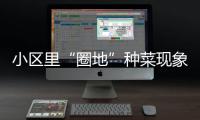 小区里“圈地”种菜现象频出 为啥罚单难开
