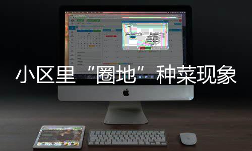 令食欲大增的开胃爽口菜：肉末粉丝拌黄瓜 面积稍小点儿的圈地菜园子里
