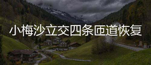 小梅沙立交四条匝道恢复通车 小梅其中新建桥梁19座