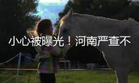 小心被曝光！河南严查不礼让斑马线和违法停车
