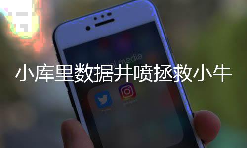 中材建设中标法国水泥生料库利旧改造项目 小库里逐渐起势爆发了