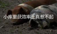 小库里获效率王真惹不起 小牛新核心12分陷隐忧