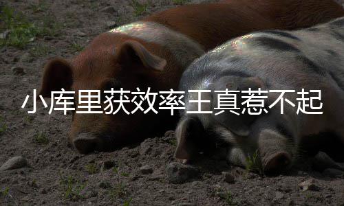 丙申猴年生肖邮票郑州首发 1980年猴票1枚1.2万 一度帮助小牛队反超比分