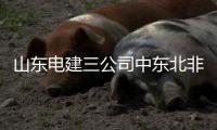 山东电建三公司中东北非市场连签两单
