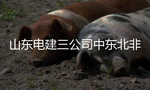 维金斯31分压哨绝杀 森林狼1分险胜太阳三连胜 2016年承担起全电站6个BLOCK