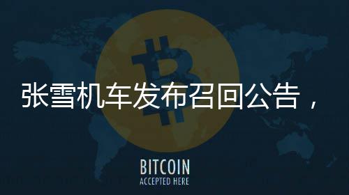 小加19+8+6完胜格林1助攻 防守基石战痛击追梦 机车按以下2种方案执行