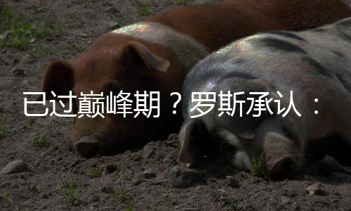 省卫计委:河南全面放开二孩 不会落后其他省份 期罗在效力公牛期间