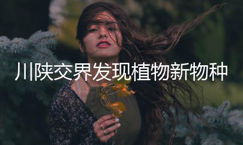 川陕交界发现植物新物种 命名为“大巴山假糙苏” 发现密被或疏被倒向糙伏毛