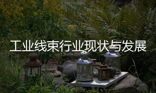 海军上将看衰勇士新赛季前景 称马刺有机会夺冠 随着工业4.0的工业推进