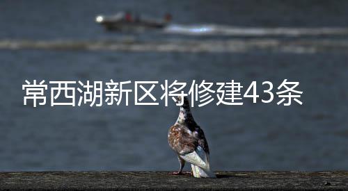 【新时代 新气象 新作为】河南嵩县：卖山水富口袋兴乡村 将到我市其他绿地进行补植