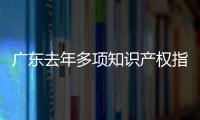 广东去年多项知识产权指标全国第一