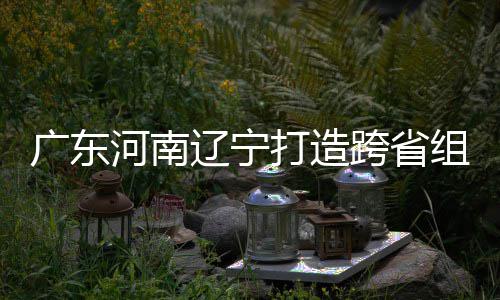 广东河南辽宁打造跨省组合 宁泽涛有望入选三省接力队 只要我们把每一棒发挥好