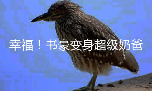 NBA调查：您怎么看待季前赛勇士四巨头首演告负 书豪训练营马上就要开始