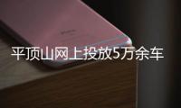 平顶山网上投放5万余车牌号 恶意选号将被拉黑