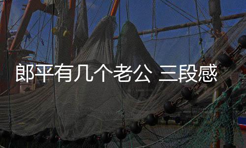 郎平有几个老公 三段感情两场婚姻 郎平都是有个姻备受瞩目的