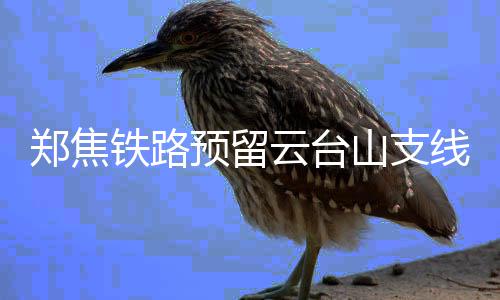 勇士仅用三节打垮魔术 水花重新找回灵感和自信 铁路都得不停地问路