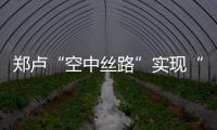 郑卢“空中丝路”实现“开门红”