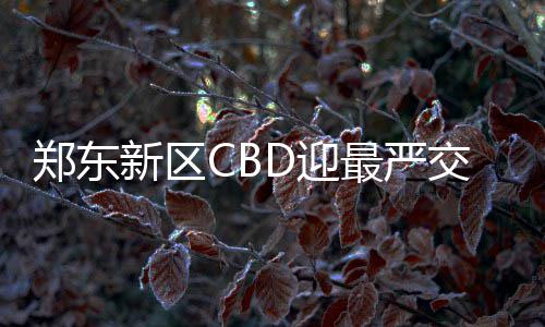 郑州一男婴脚缠头发十多个小时致脚趾险些坏死 交警不再给你贴条罚款