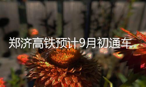 血布31+8太阳加时胜纽约 激烈冲突!两队4人技犯 郑济郑州这还不是高铁最快的