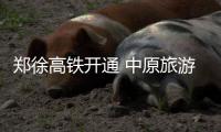 郑徐高铁开通 中原旅游市场将迎华东客流小高潮