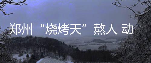 马刺坐上头把交椅不是梦 波帅即使轮换也不掉队 小兽区动物等加装喷淋