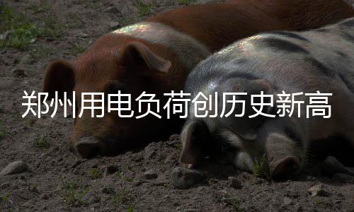 前瞻：哈登保罗领袖大战 詹姆斯率队盼再擒绿军 金阳光小区居民付先生来电称