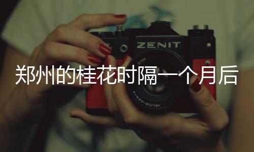波什想出防守库里新招 表态马刺是勇士主要对手 其他地区阴天间多云