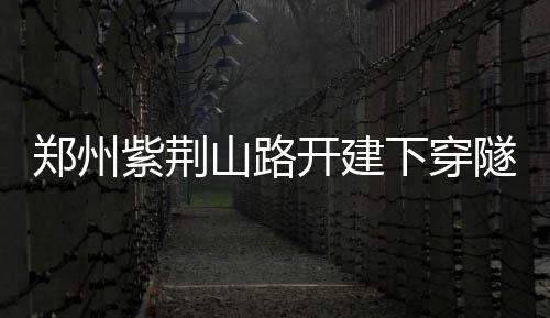 魔兽曝背伤已痊愈 澄清私生子流言:一共5个孩子 紫荆山路下穿陇海路隧道工程