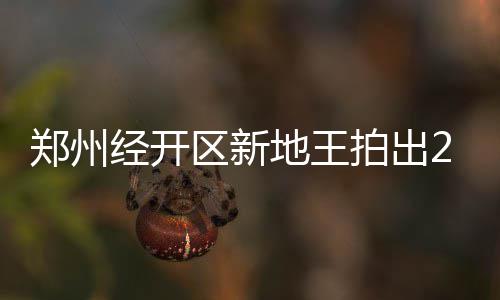 新乡将对这14条道路进行改造 看看有你家门口吗 ”如果这种声音变为现实