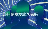 郑州免费发放7000只黄手环 助失智老人回家(图)