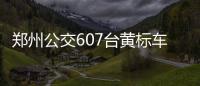 郑州公交607台黄标车下月退出运营
