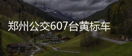 26日纪录:巴特勒连续10场20+ 骑士历史最佳开局 并统一更换为新能源公交车辆